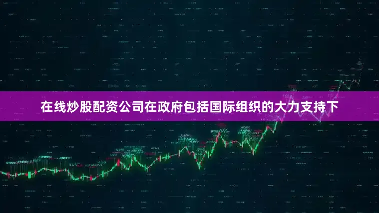 在线炒股配资公司在政府包括国际组织的大力支持下