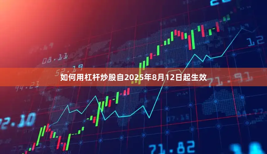 如何用杠杆炒股自2025年8月12日起生效