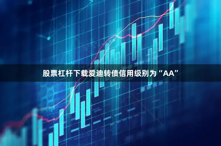 股票杠杆下载爱迪转债信用级别为“AA”